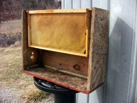 Get your swarm traps ready for Spring!