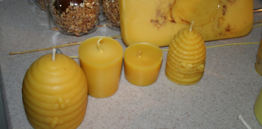 Field Day – Beeswax and Its Uses