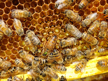 Third-quarter update from Michael Slivka